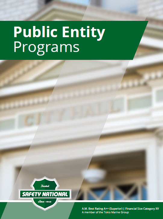 Public Entity Programs