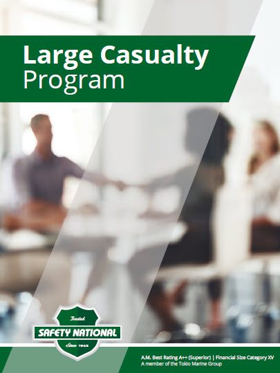 Large Casualty Program