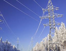 Power grids and outages: causes, impacts...